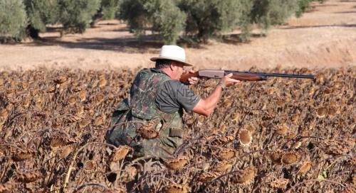 Canes bespoke hunting Spain (1)