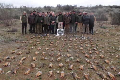 Canes bespoke hunting Spain (6)